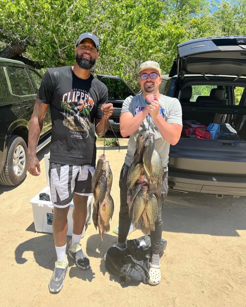 不仅是一场 不仅是一场